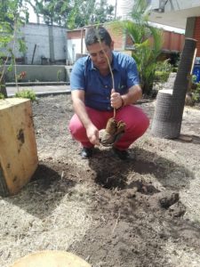 Boletín de prensa 176 - Jornada de siembra en las instalaciones de la ESPY 